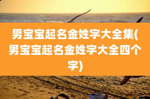 男宝宝起名金姓字大全集(男宝宝起名金姓字大全四个字)