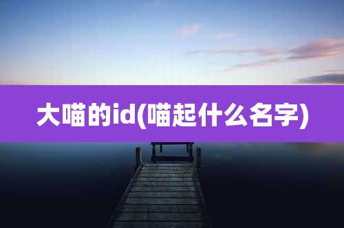 大喵的id(喵起什么名字)