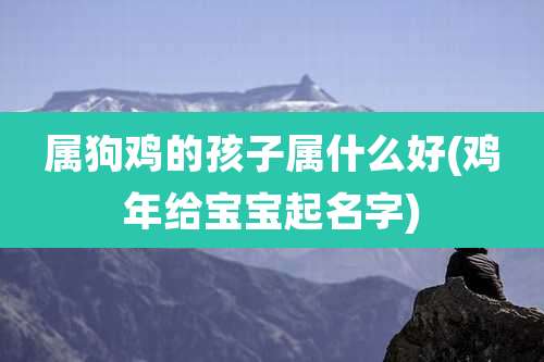 属狗鸡的孩子属什么好(鸡年给宝宝起名字)