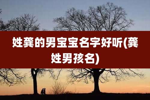 姓龚的男宝宝名字好听(龚姓男孩名)