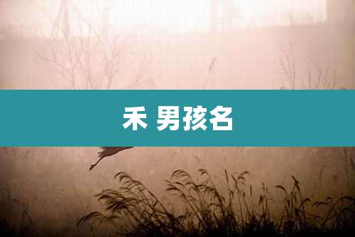 禾 男孩名
