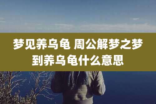 梦见养乌龟 周公解梦之梦到养乌龟什么意思