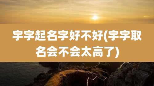 宇字起名字好不好(宇字取名会不会太高了)