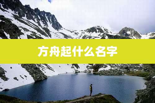 方舟起什么名字