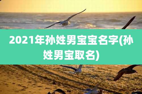 2021年孙姓男宝宝名字(孙姓男宝取名)