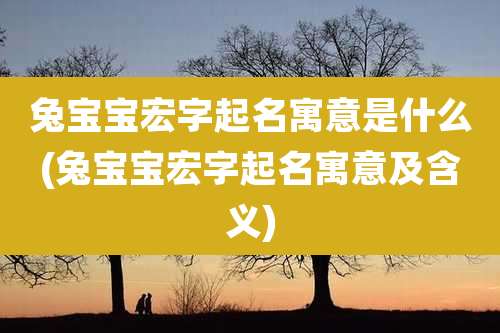 兔宝宝宏字起名寓意是什么(兔宝宝宏字起名寓意及含义)