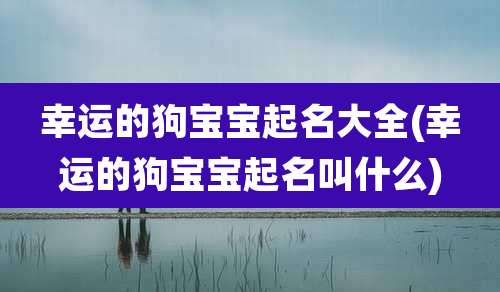 幸运的狗宝宝起名大全(幸运的狗宝宝起名叫什么)