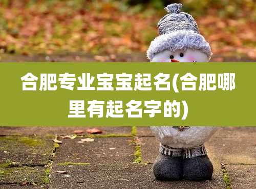 合肥专业宝宝起名(合肥哪里有起名字的)