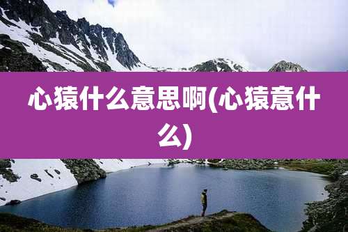 心猿什么意思啊(心猿意什么)