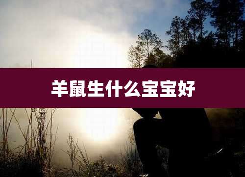 羊鼠生什么宝宝好