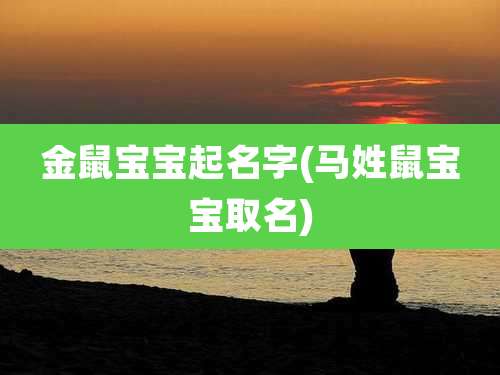 金鼠宝宝起名字(马姓鼠宝宝取名)