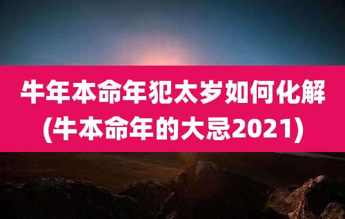 牛年本命年犯太岁如何化解(牛本命年的大忌2021)