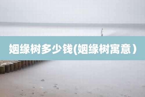 姻缘树多少钱(姻缘树寓意)