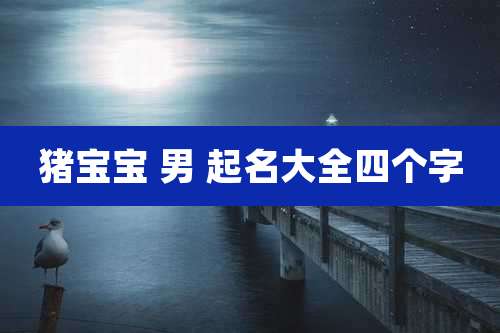 猪宝宝 男 起名大全四个字