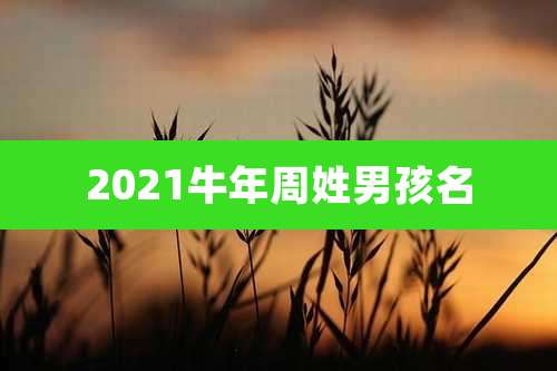 2021牛年周姓男孩名
