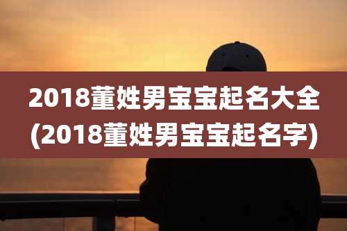 2018董姓男宝宝起名大全(2018董姓男宝宝起名字)
