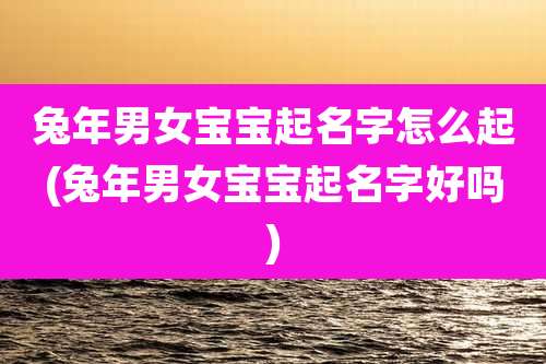 兔年男女宝宝起名字怎么起(兔年男女宝宝起名字好吗)