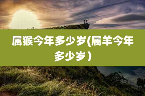 属猴今年多少岁(属羊今年多少岁)
