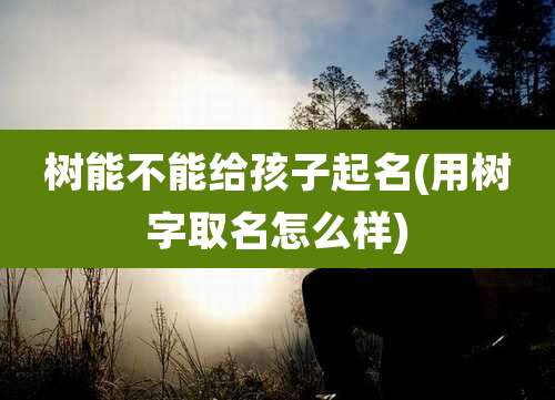 树能不能给孩子起名(用树字取名怎么样)