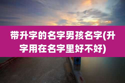 带升字的名字男孩名字(升字用在名字里好不好)