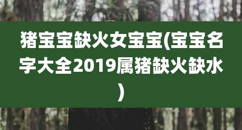 猪宝宝缺火女宝宝(宝宝名字大全2019属猪缺火缺水)