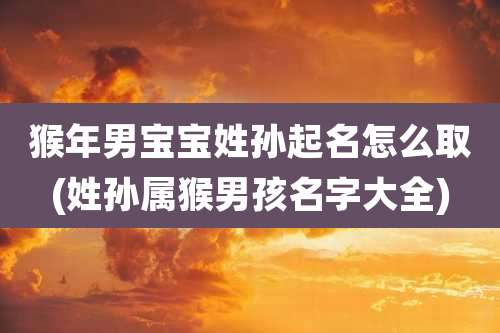 猴年男宝宝姓孙起名怎么取(姓孙属猴男孩名字大全)