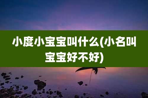 小度小宝宝叫什么(小名叫宝宝好不好)