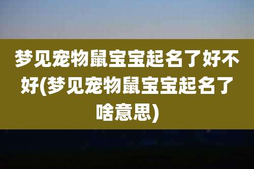 梦见宠物鼠宝宝起名了好不好(梦见宠物鼠宝宝起名了啥意思)