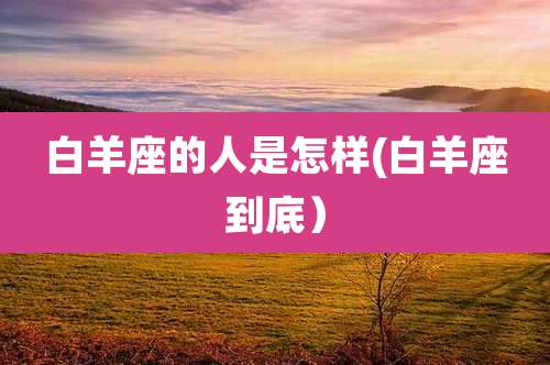 白羊座的人是怎样(白羊座到底）