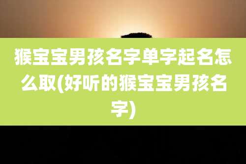 猴宝宝男孩名字单字起名怎么取(好听的猴宝宝男孩名字)