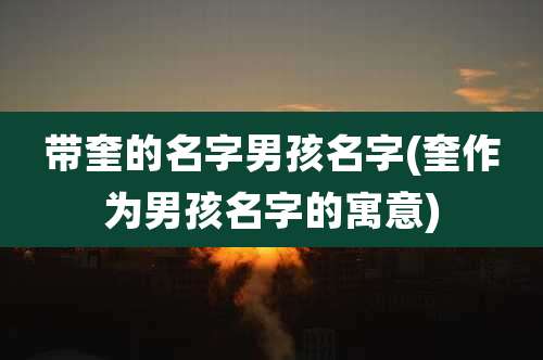 带奎的名字男孩名字(奎作为男孩名字的寓意)