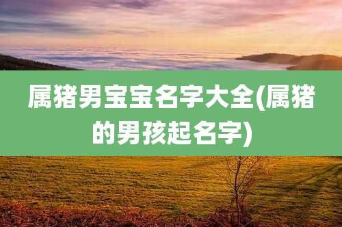 属猪男宝宝名字大全(属猪的男孩起名字)