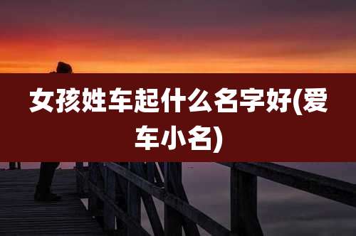 女孩姓车起什么名字好(爱车小名)