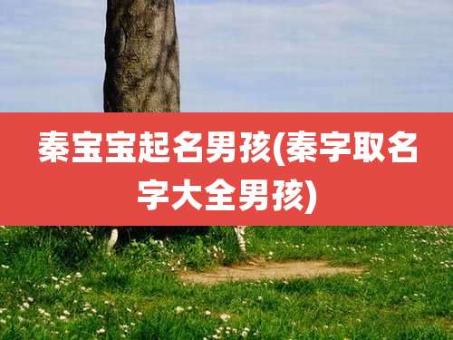 秦宝宝起名男孩(秦字取名字大全男孩)