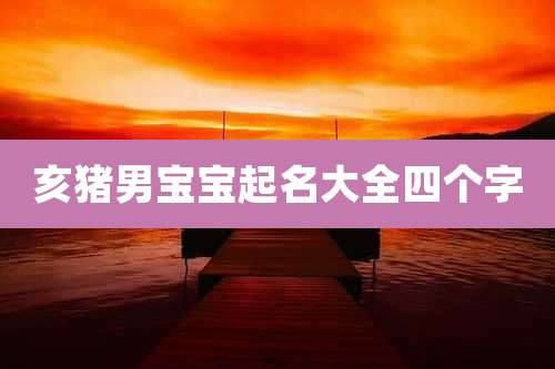 亥猪男宝宝起名大全四个字