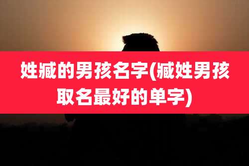 姓臧的男孩名字(臧姓男孩取名最好的单字)