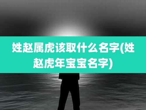姓赵属虎该取什么名字(姓赵虎年宝宝名字)