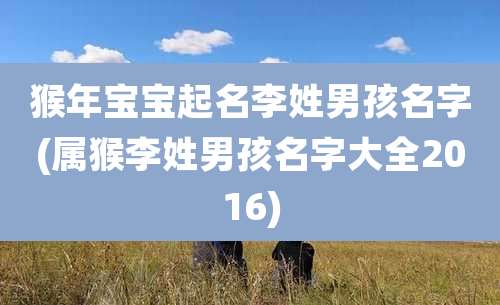猴年宝宝起名李姓男孩名字(属猴李姓男孩名字大全2016)
