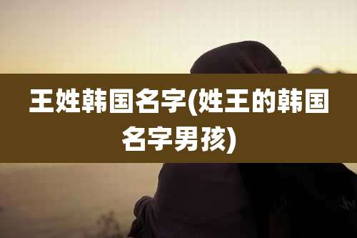 王姓韩国名字(姓王的韩国名字男孩)