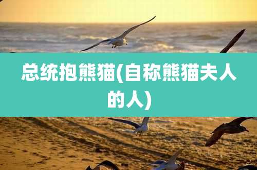 总统抱熊猫(自称熊猫夫人的人)