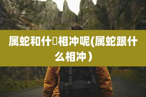 属蛇和什麼相冲呢(属蛇跟什么相冲）