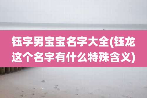 钰字男宝宝名字大全(钰龙这个名字有什么特殊含义)