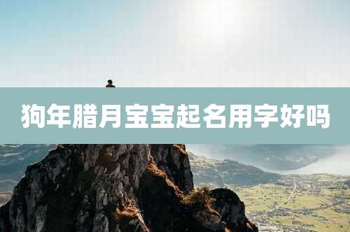 狗年腊月宝宝起名用字好吗