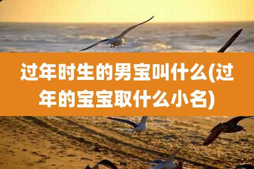 过年时生的男宝叫什么(过年的宝宝取什么小名)