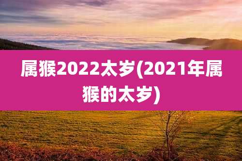 属猴2022太岁(2021年属猴的太岁)