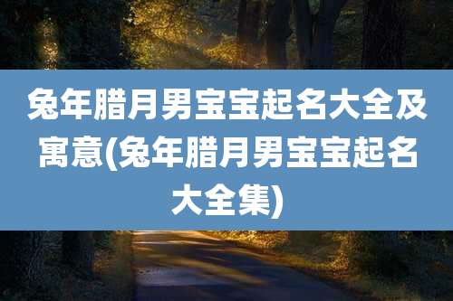 兔年腊月男宝宝起名大全及寓意(兔年腊月男宝宝起名大全集)