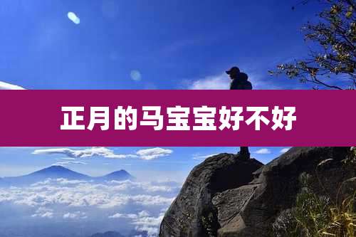 正月的马宝宝好不好