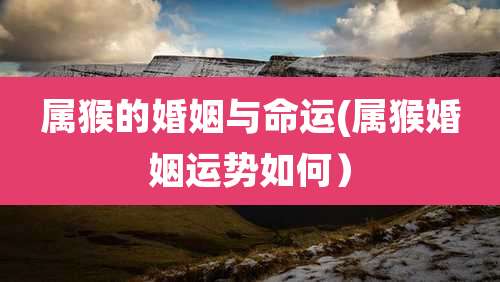 属猴的婚姻与命运(属猴婚姻运势如何）