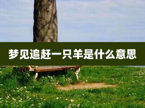 梦见追赶一只羊是什么意思