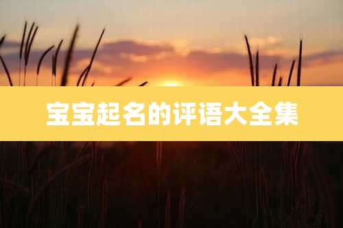 宝宝起名的评语大全集